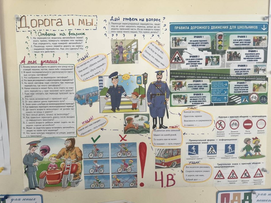 Дорога и мы