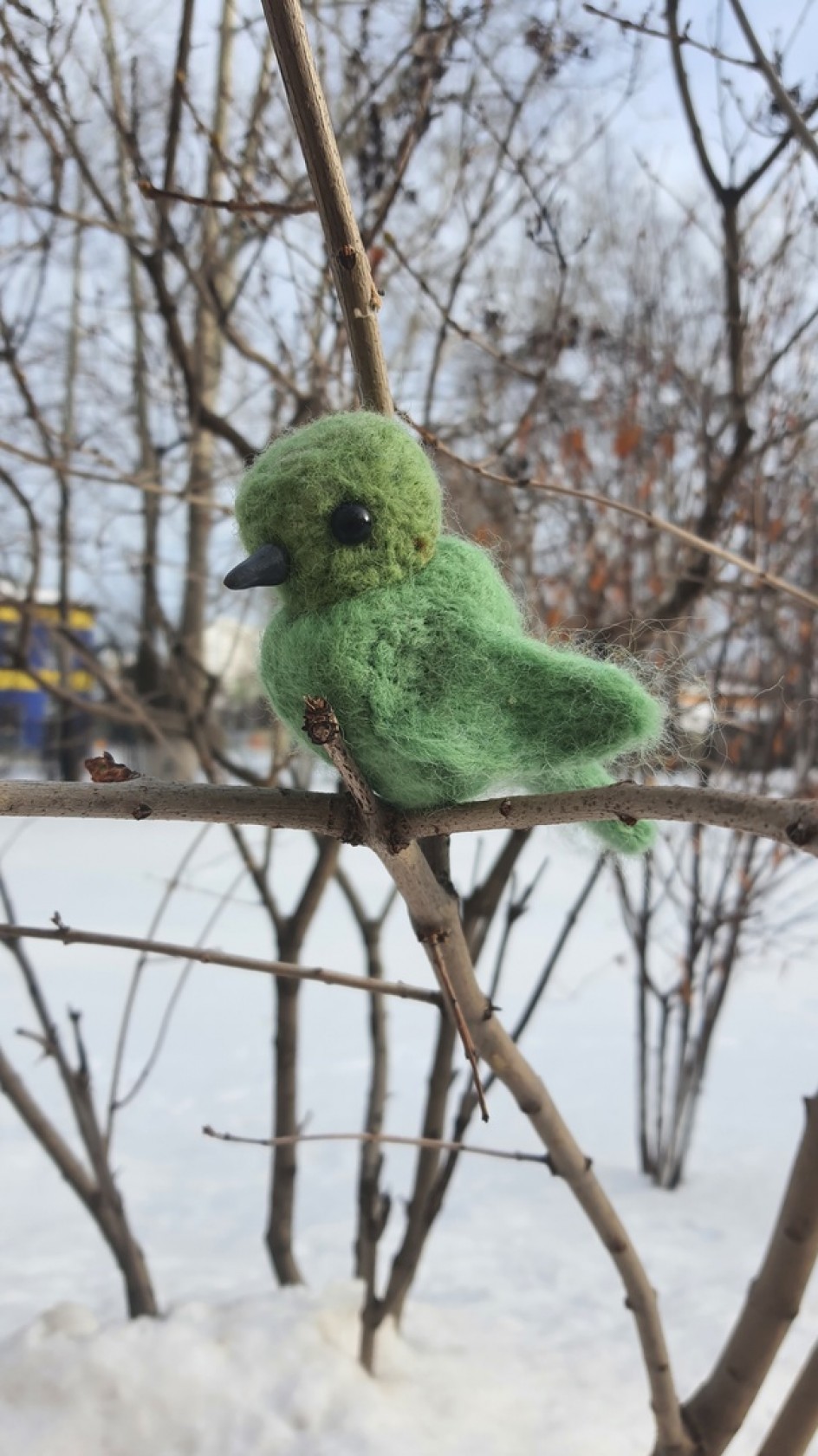 Зеленушка обыкновенная