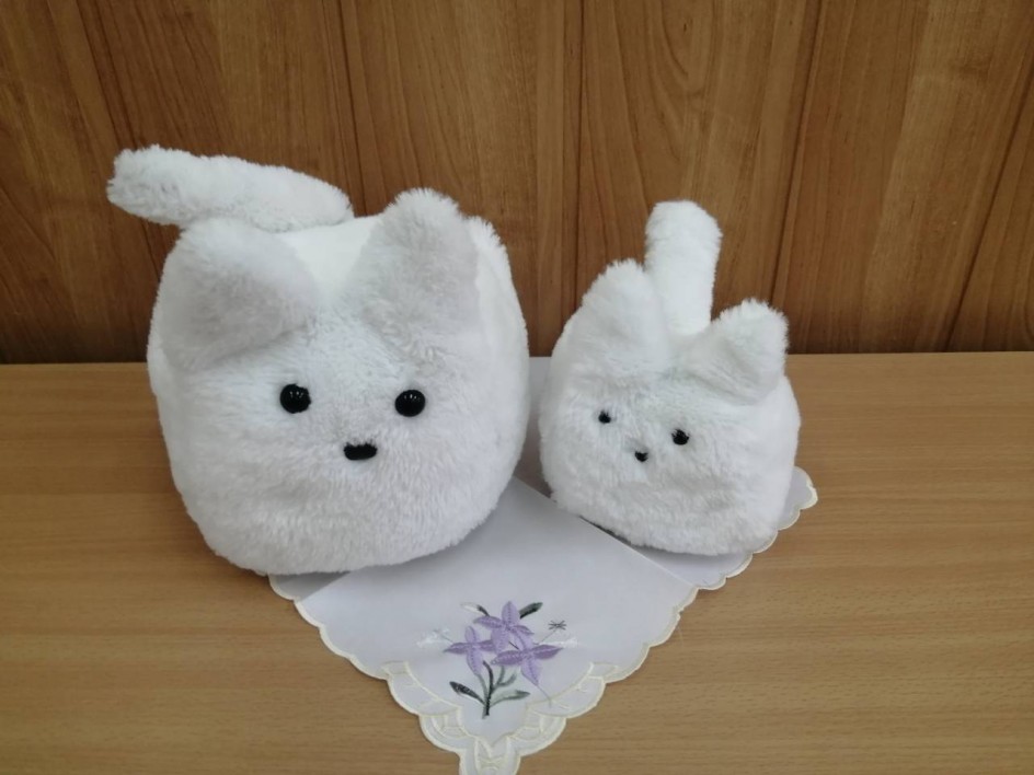 Кошачье семейство