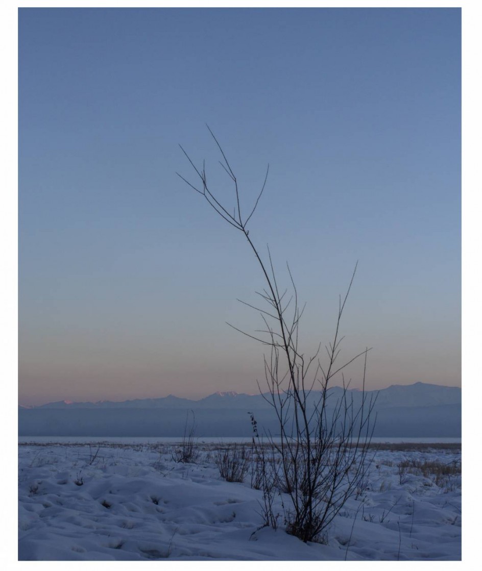 -50 градусов по Цельсию