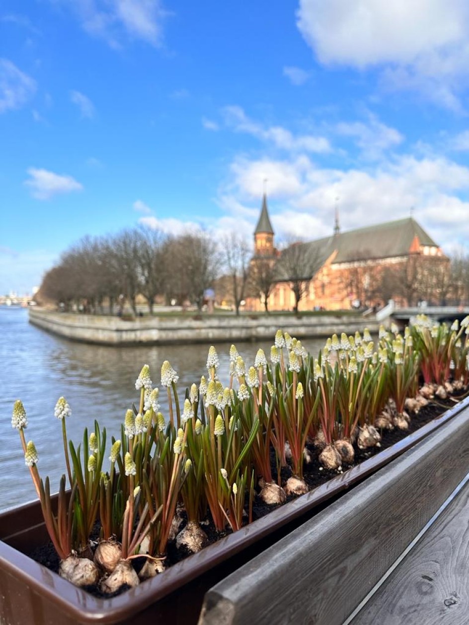 Весна в Калининграде