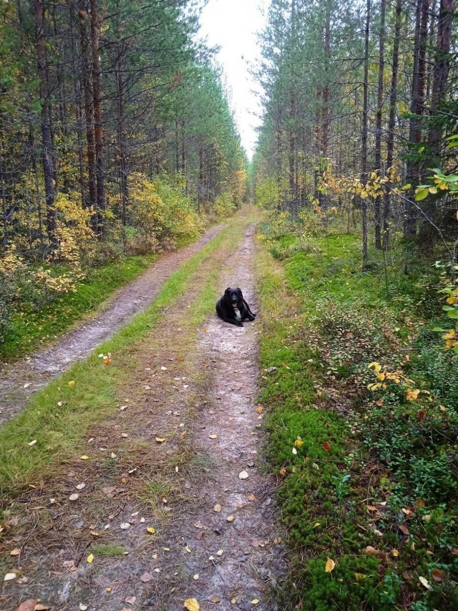 Прогулка.