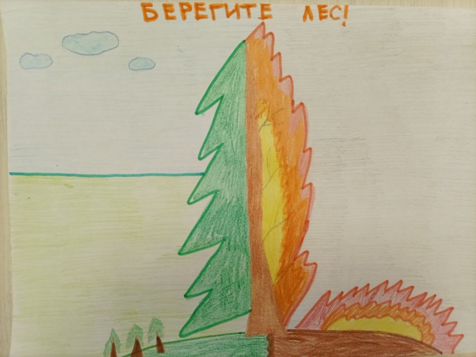 Береги лес