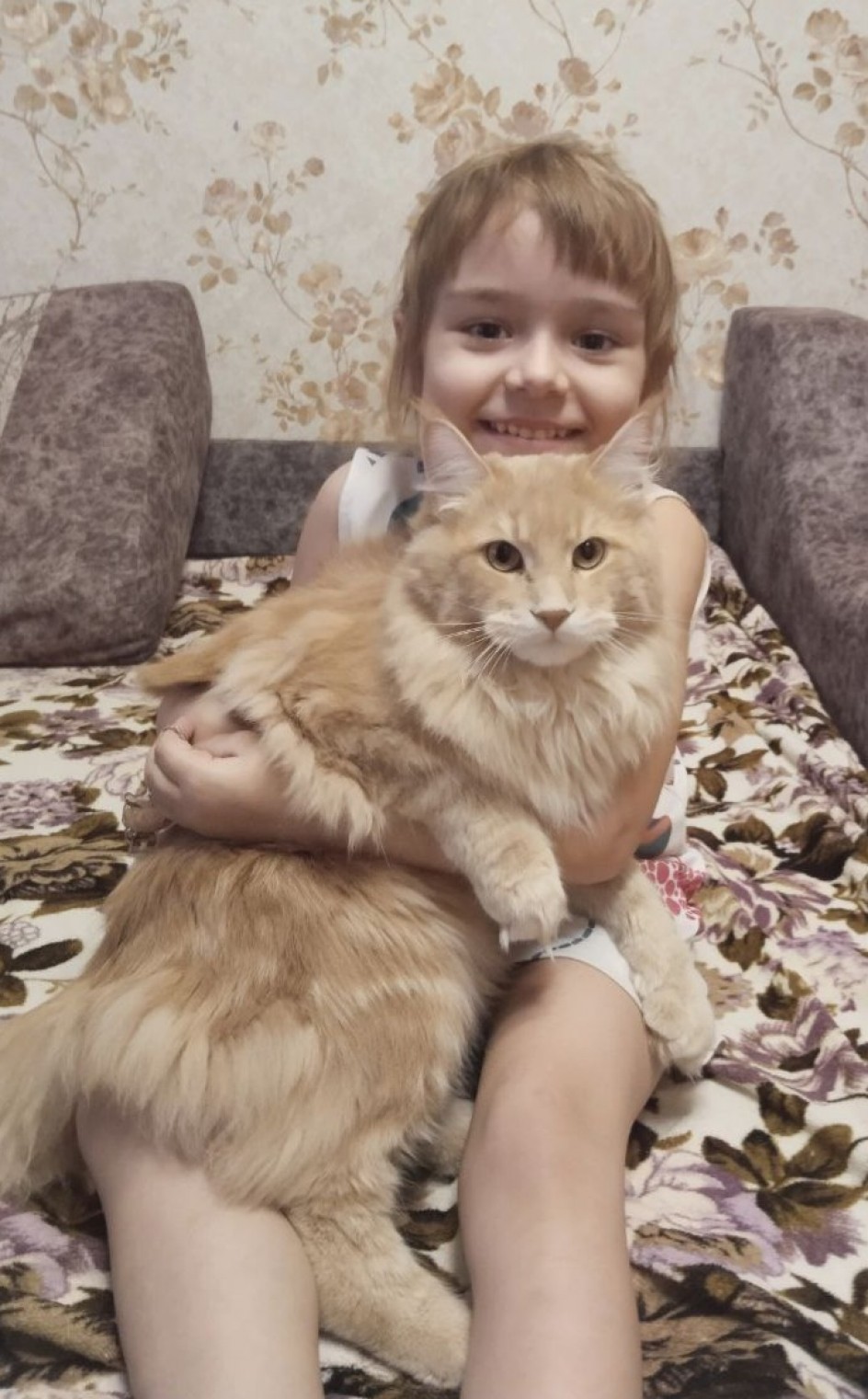 "Мой любимый котик"