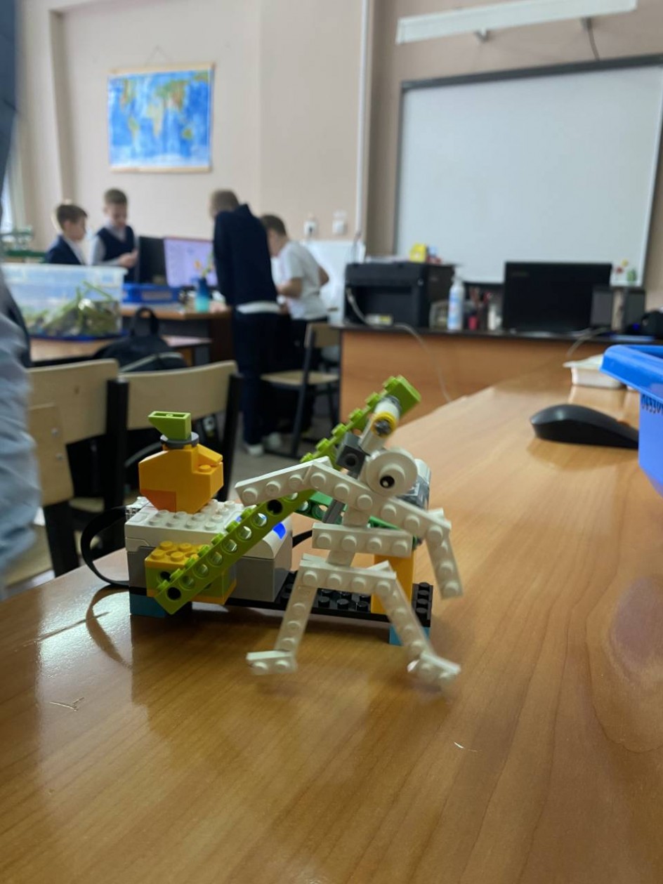 Скелет