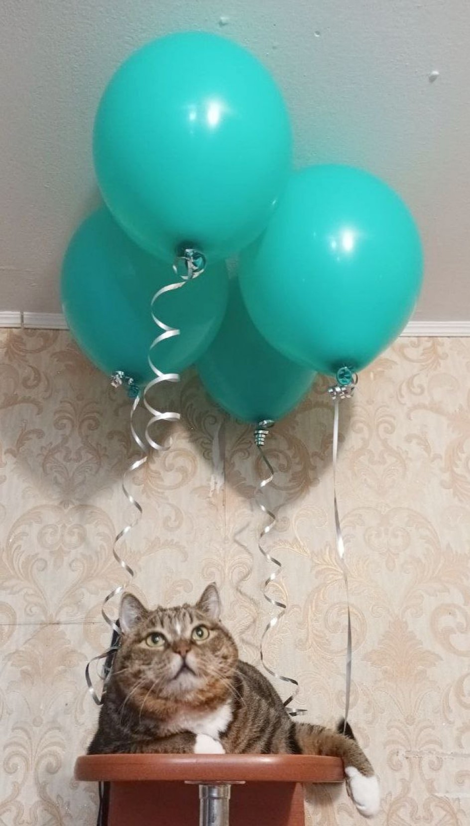 Мечта