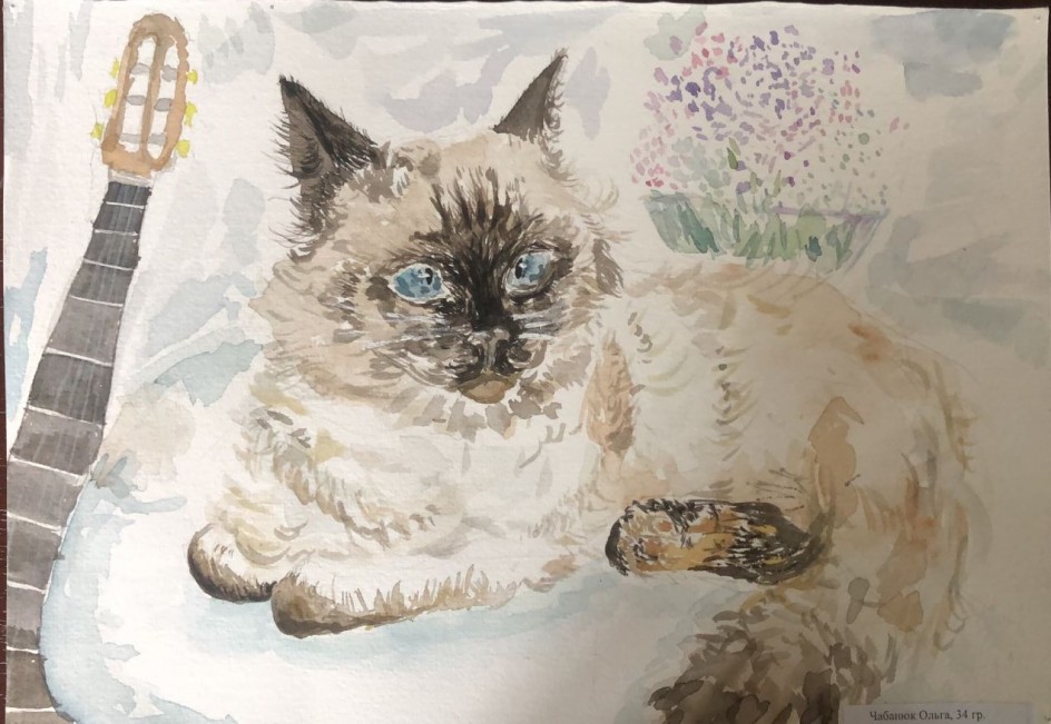 Кот и гитара