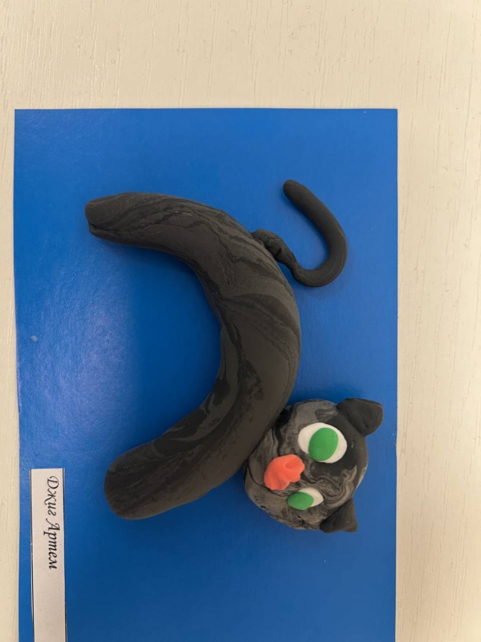 Кот