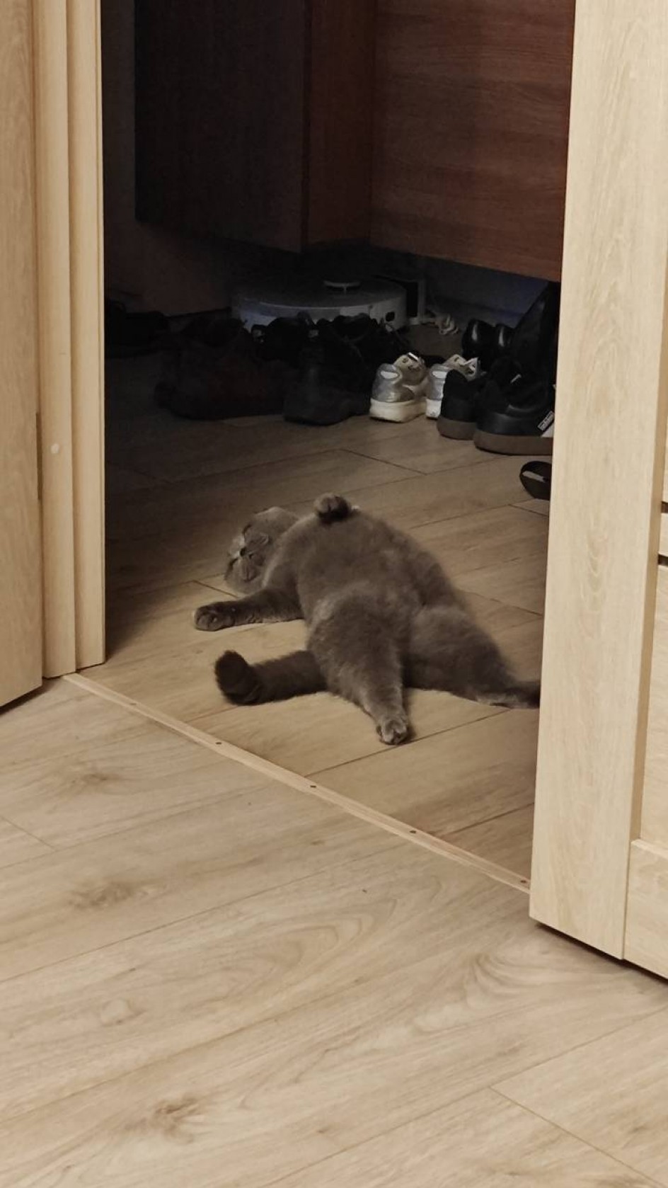 Эля отдыхает