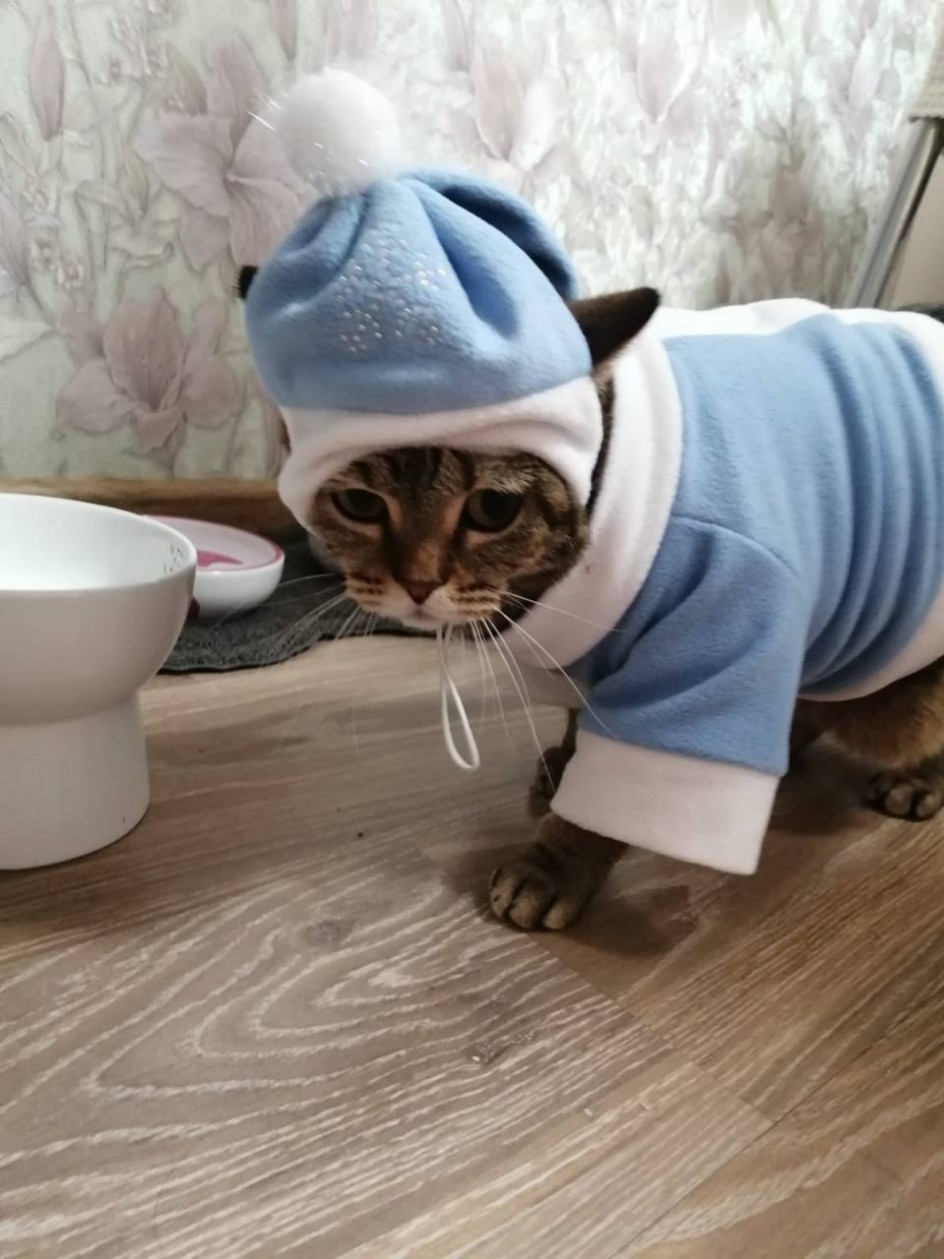 Снегурочка?