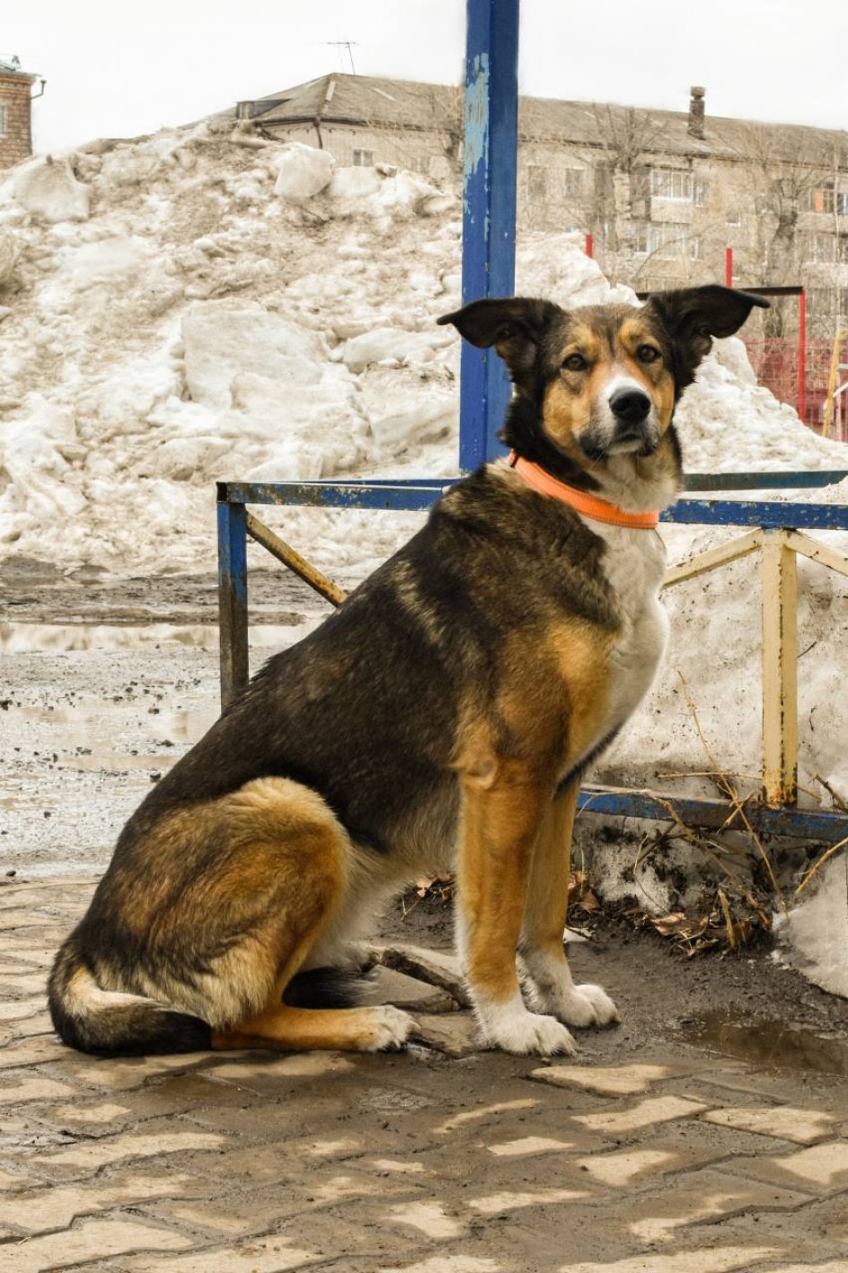 Говорящий взгляд