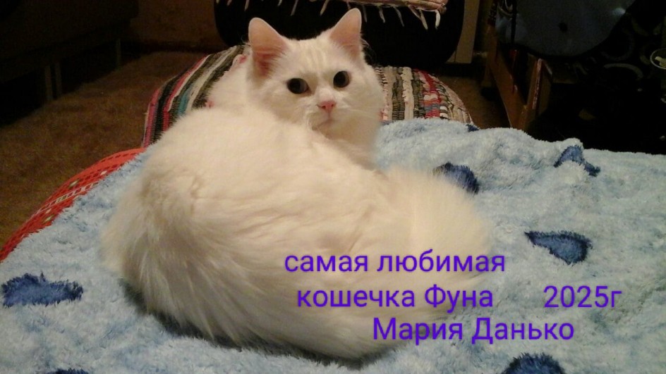 Мой лучший друг