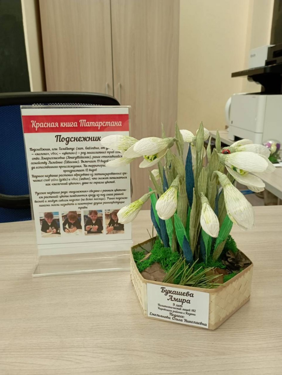 Первые подснежники