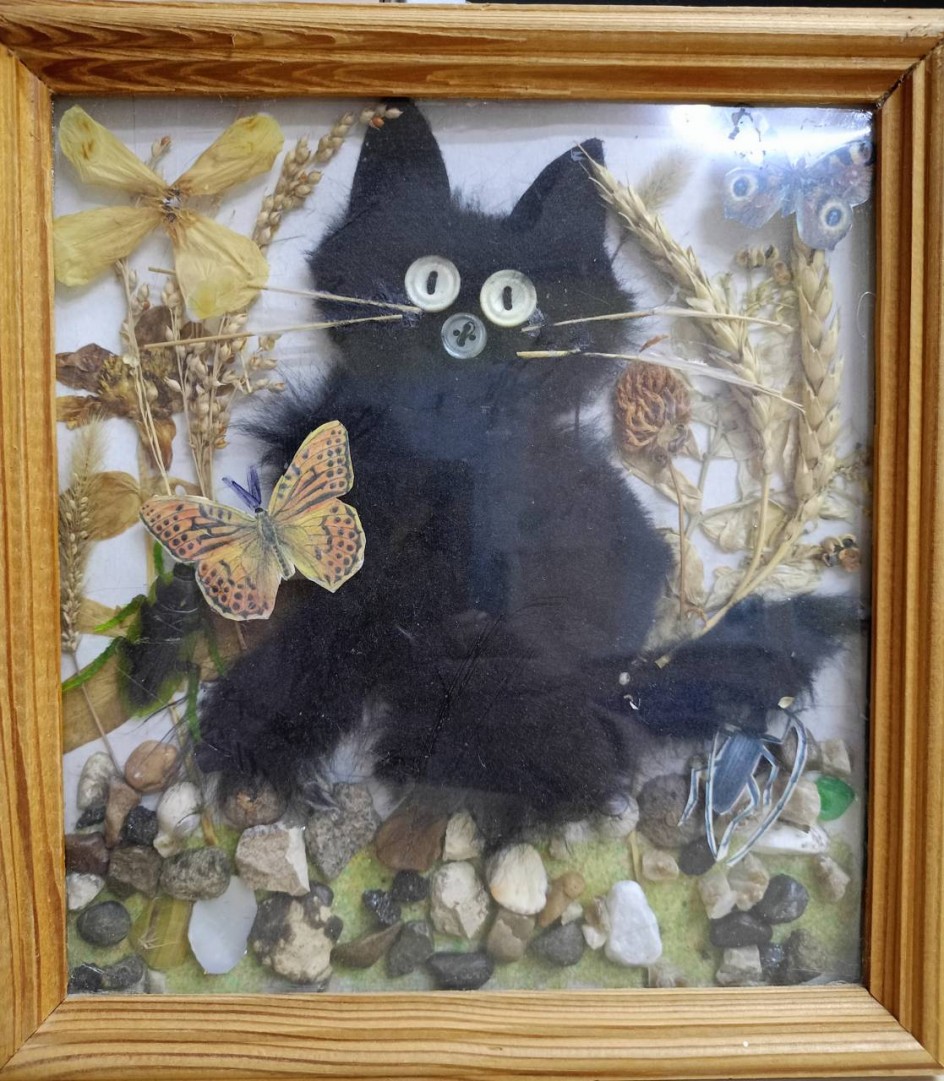 Мой котёнок