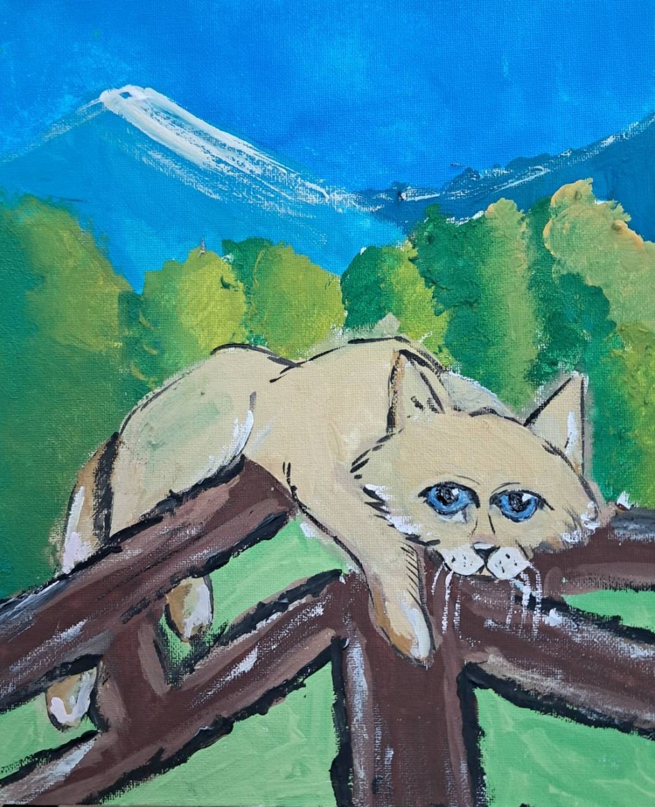 Мой любимый кот