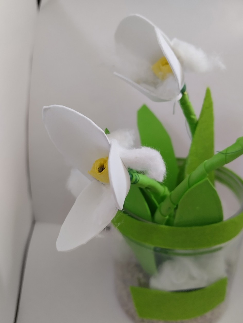 подснежник на моем окне