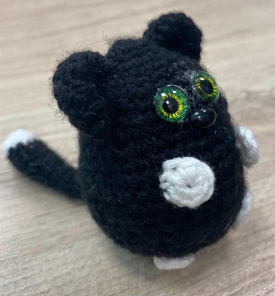 Котик