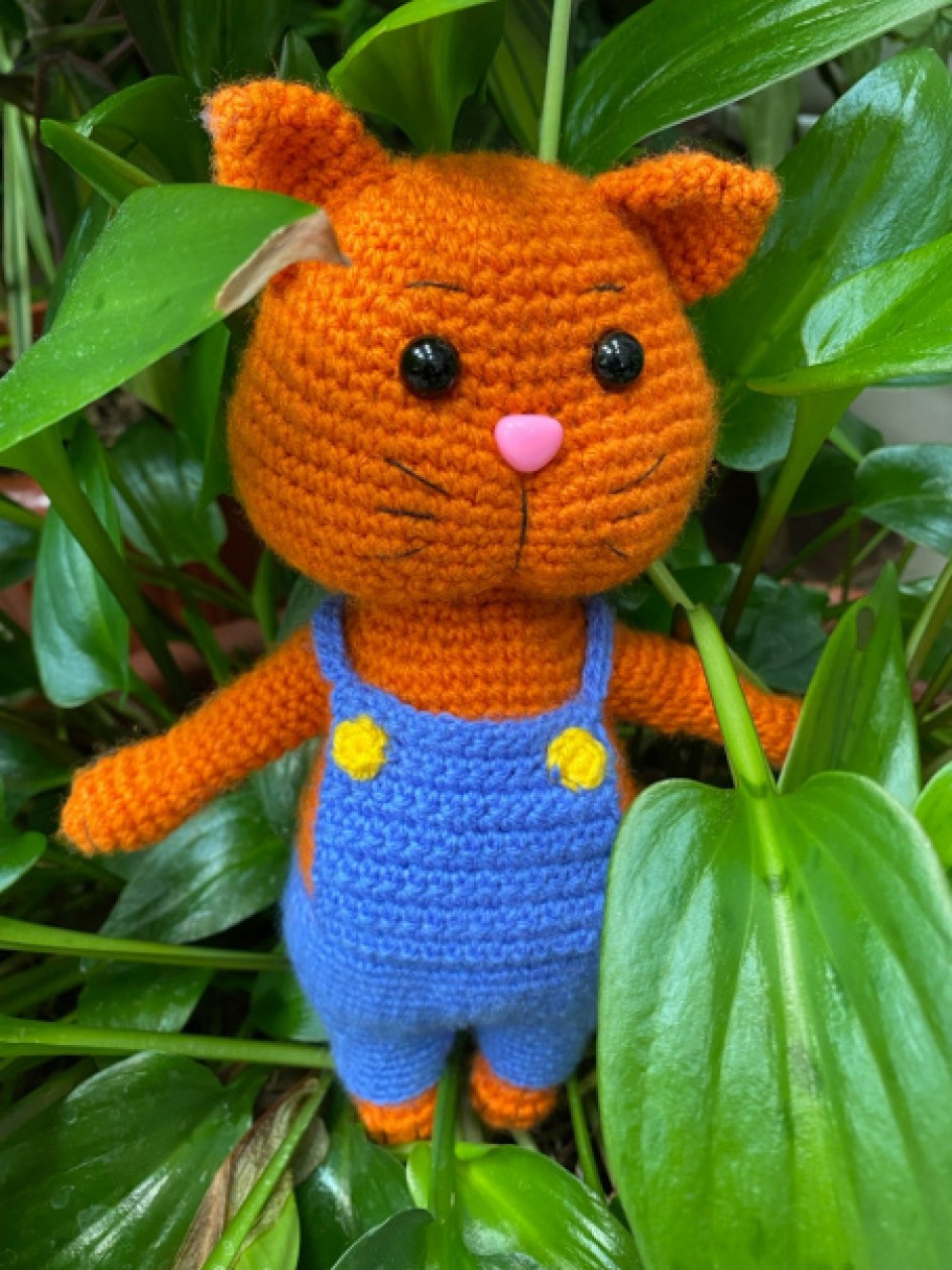 Кот Мандаринчик