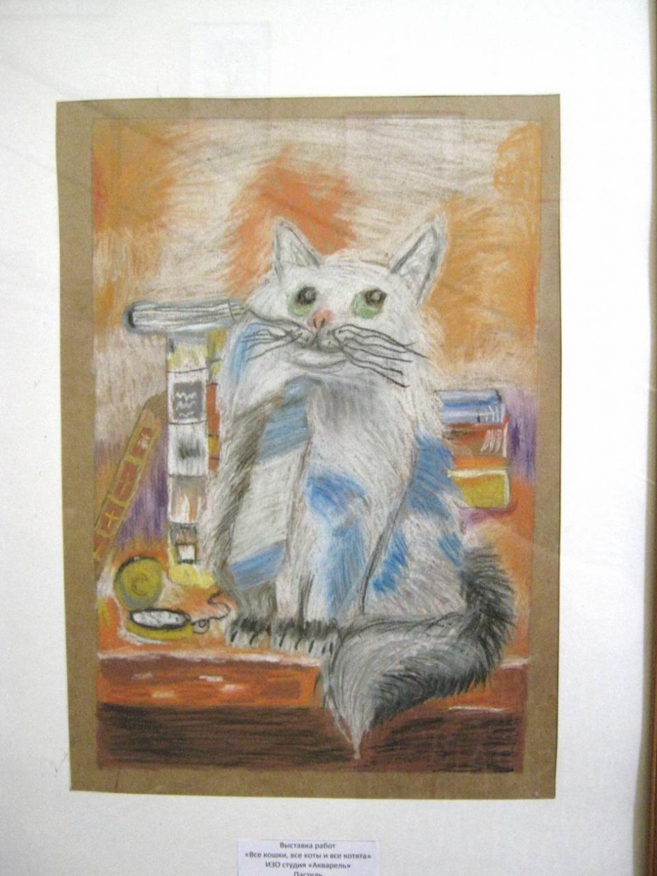 Кот учёный