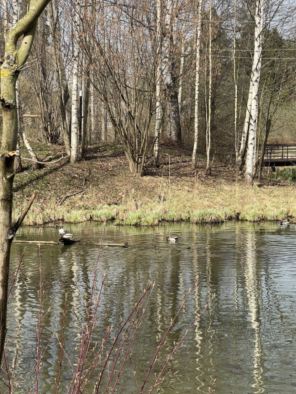 Весна