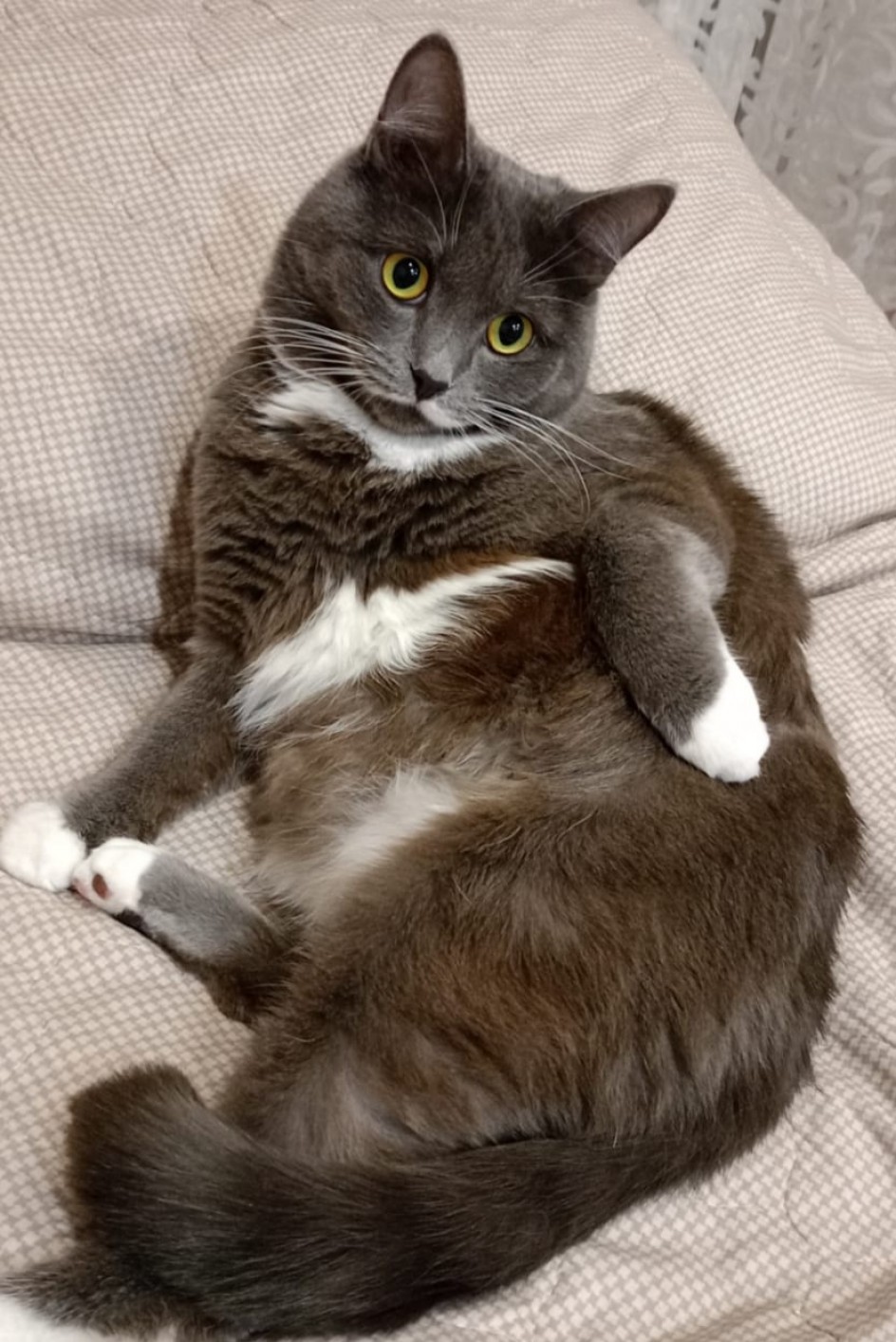Маффин