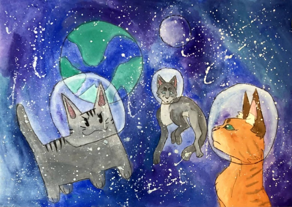 Коты-Воители в космосе