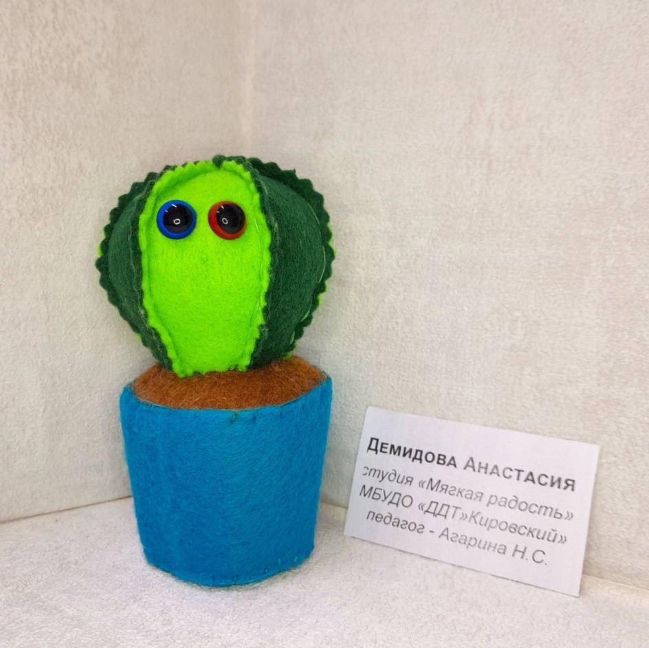Кактус