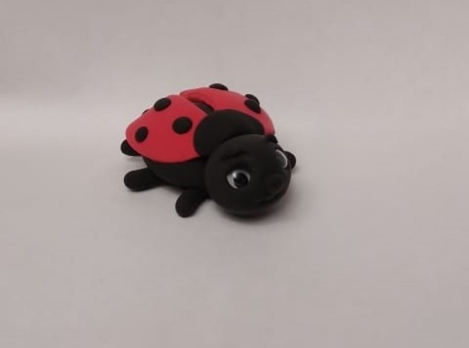 Божья коровка