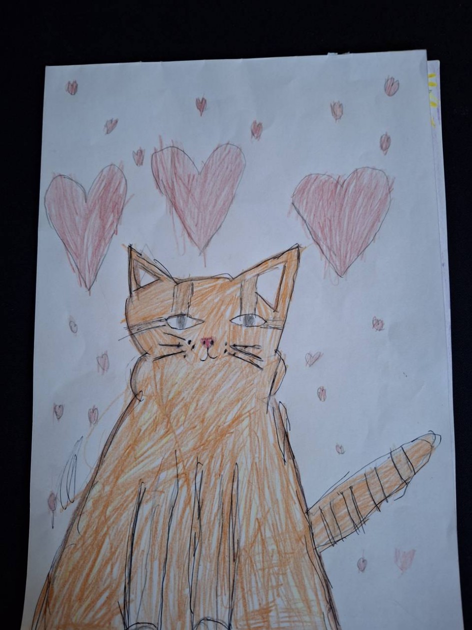 Моя любимая кошечка