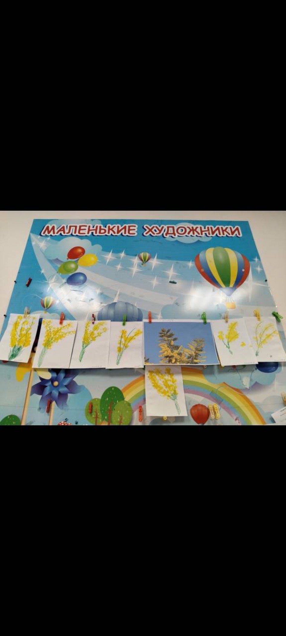 Мимоза.