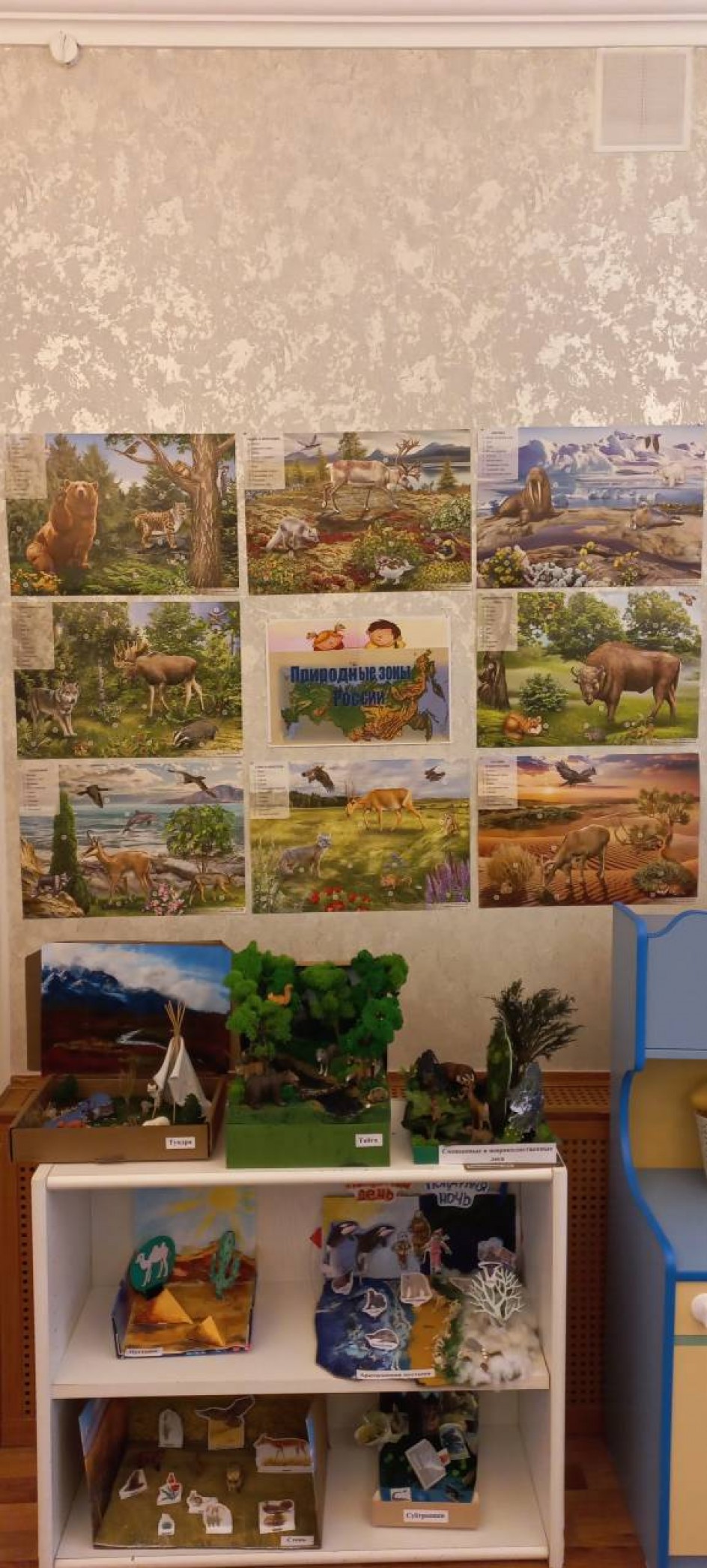 Природные зоны России