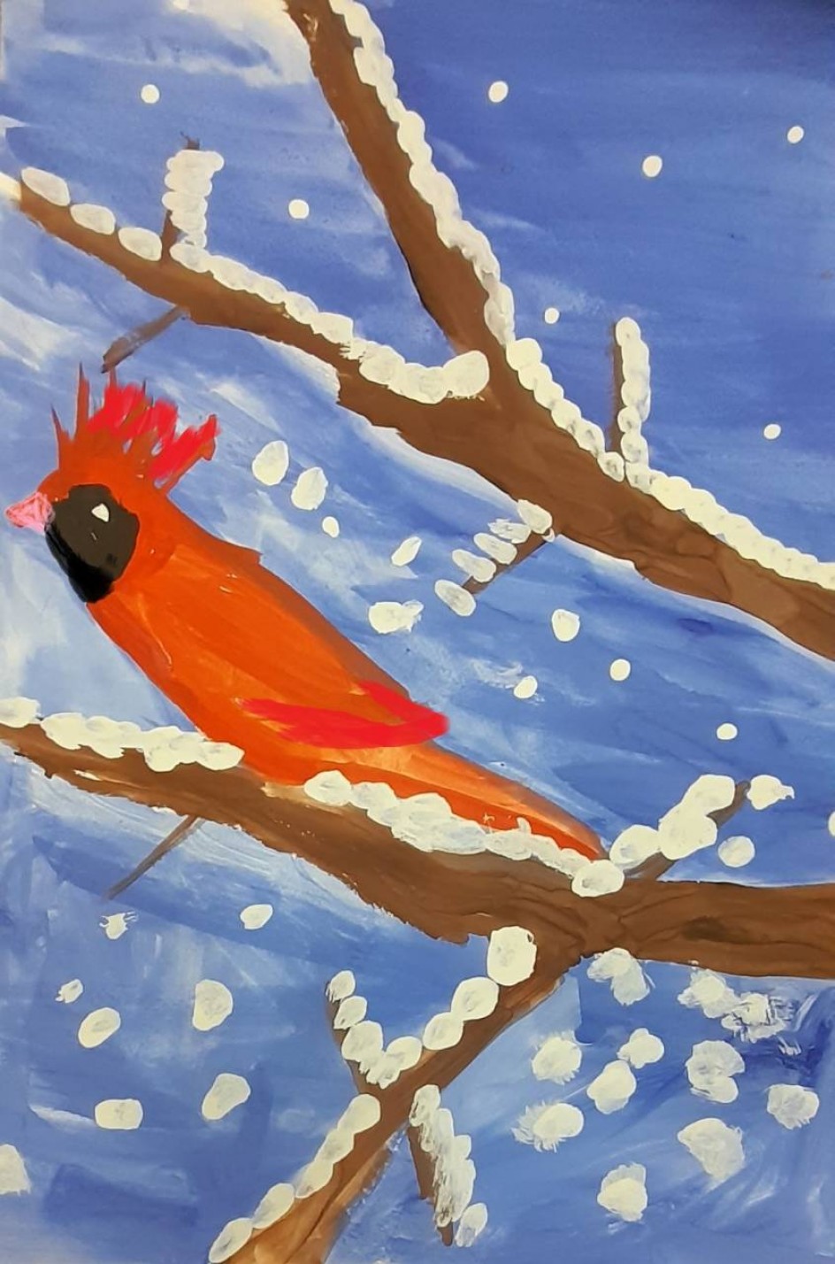 Птица Кардинал