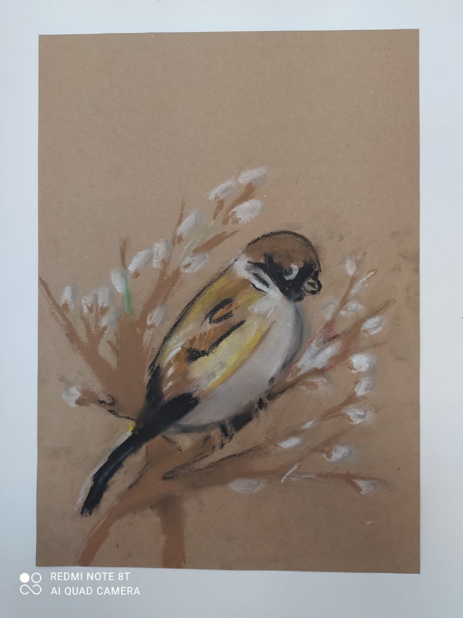 Воробей на вербе