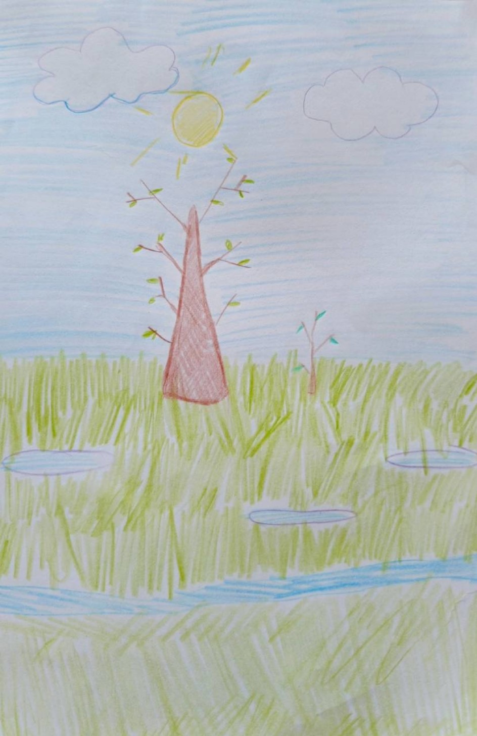 Весеннее солнышко