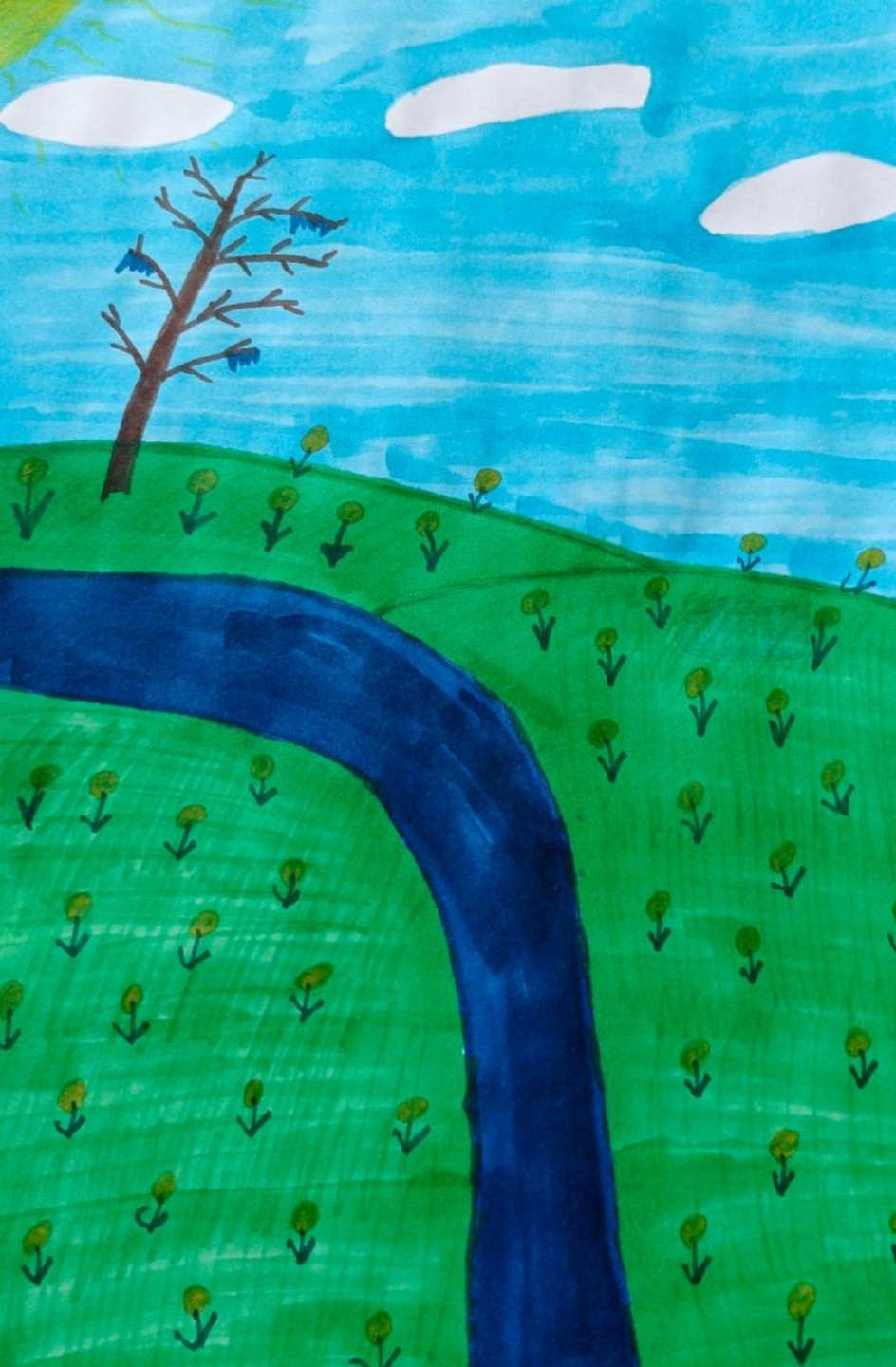 Одуванчиковое поле