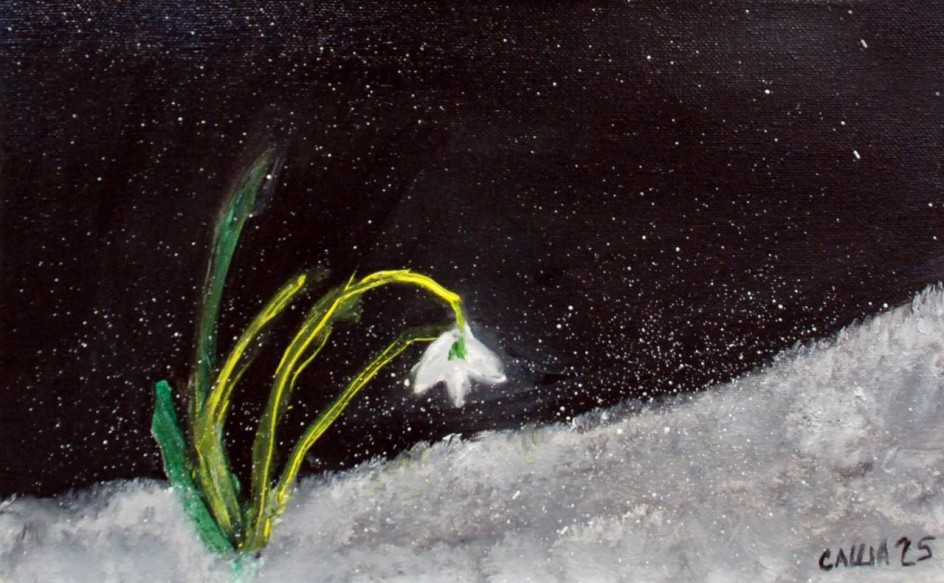 Подснежник