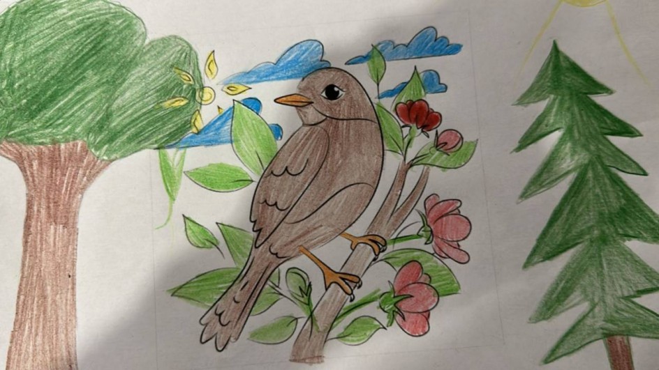 Птичка в лесу