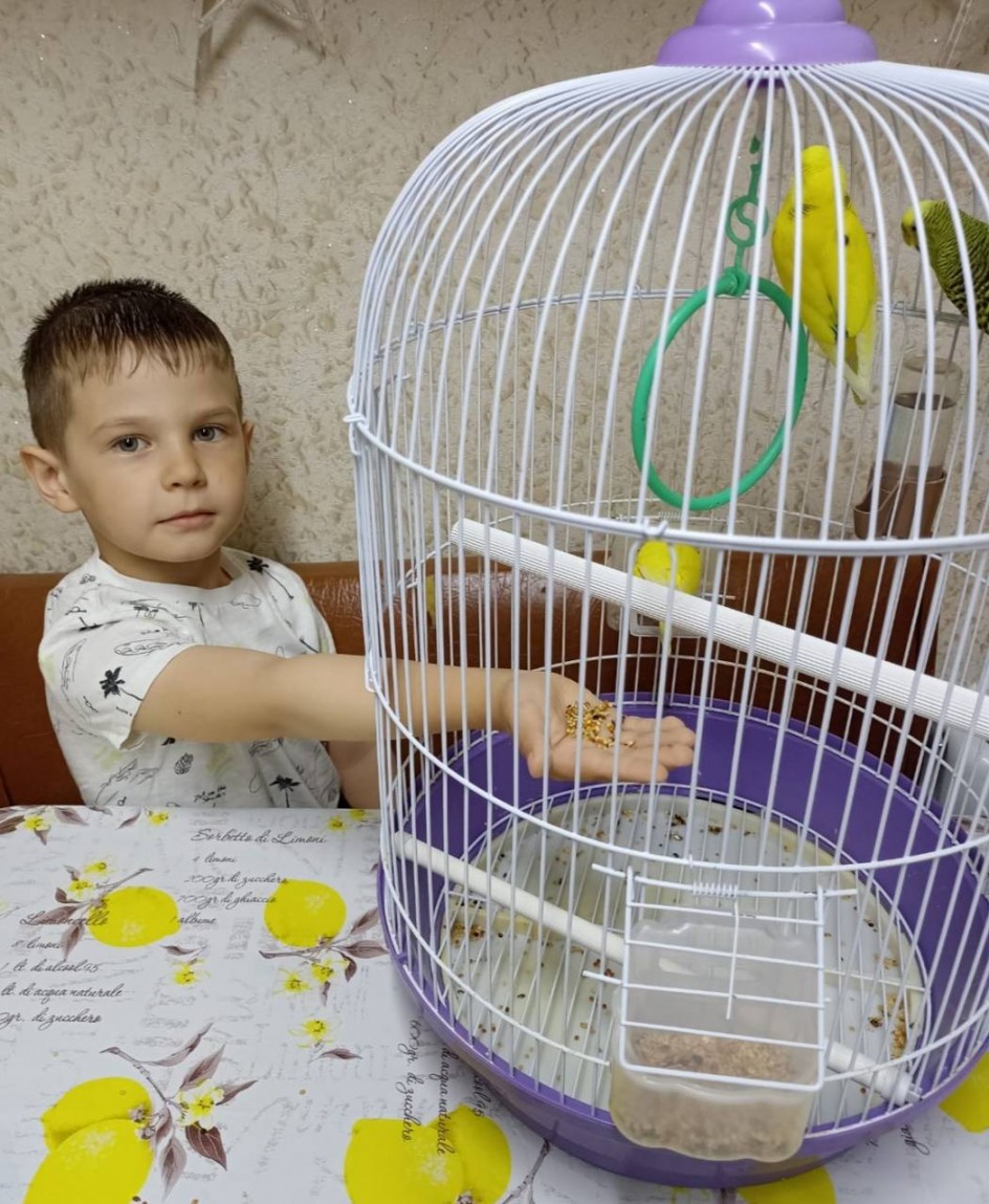 Мои пернатые друзья