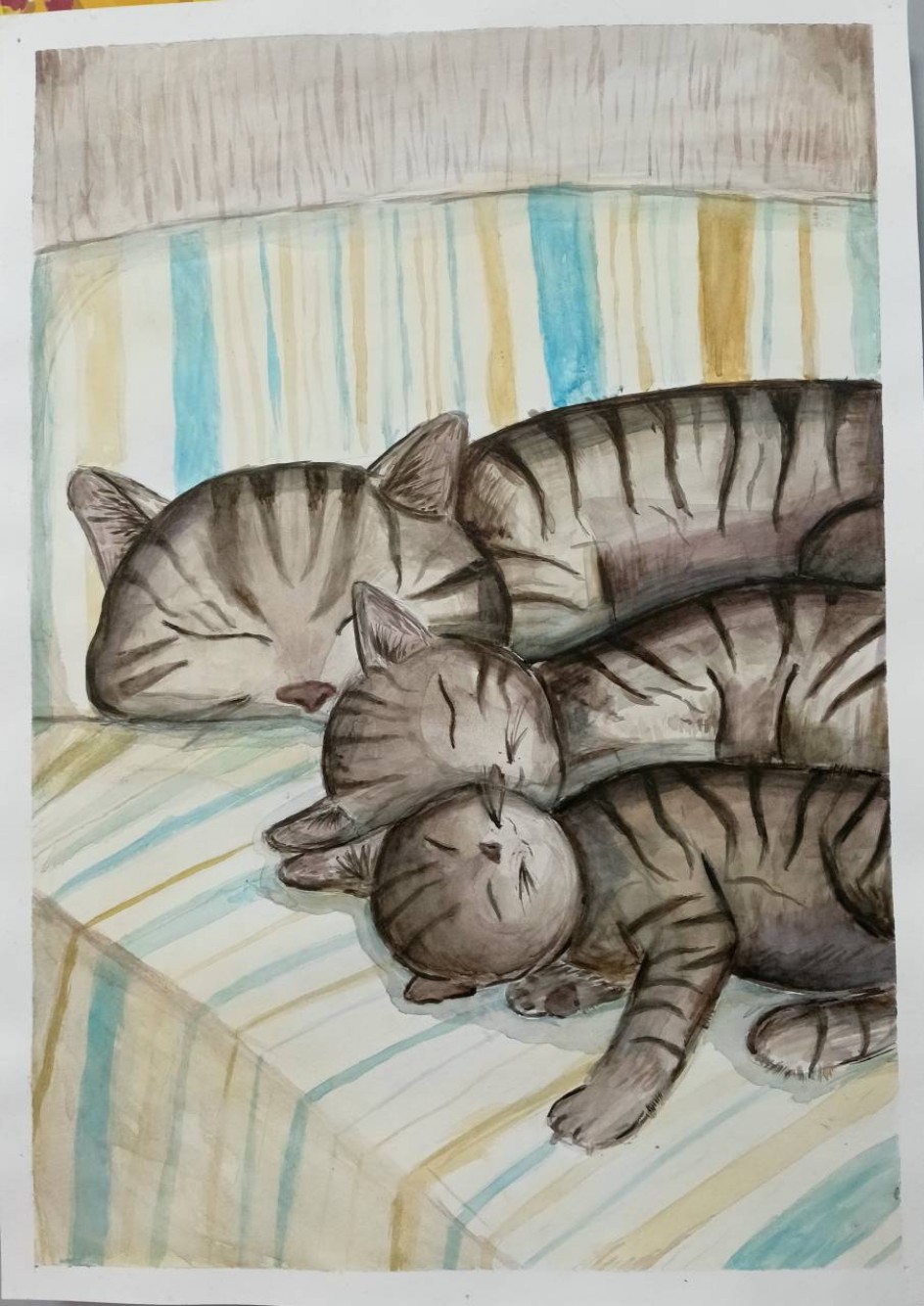 Кошачья семья