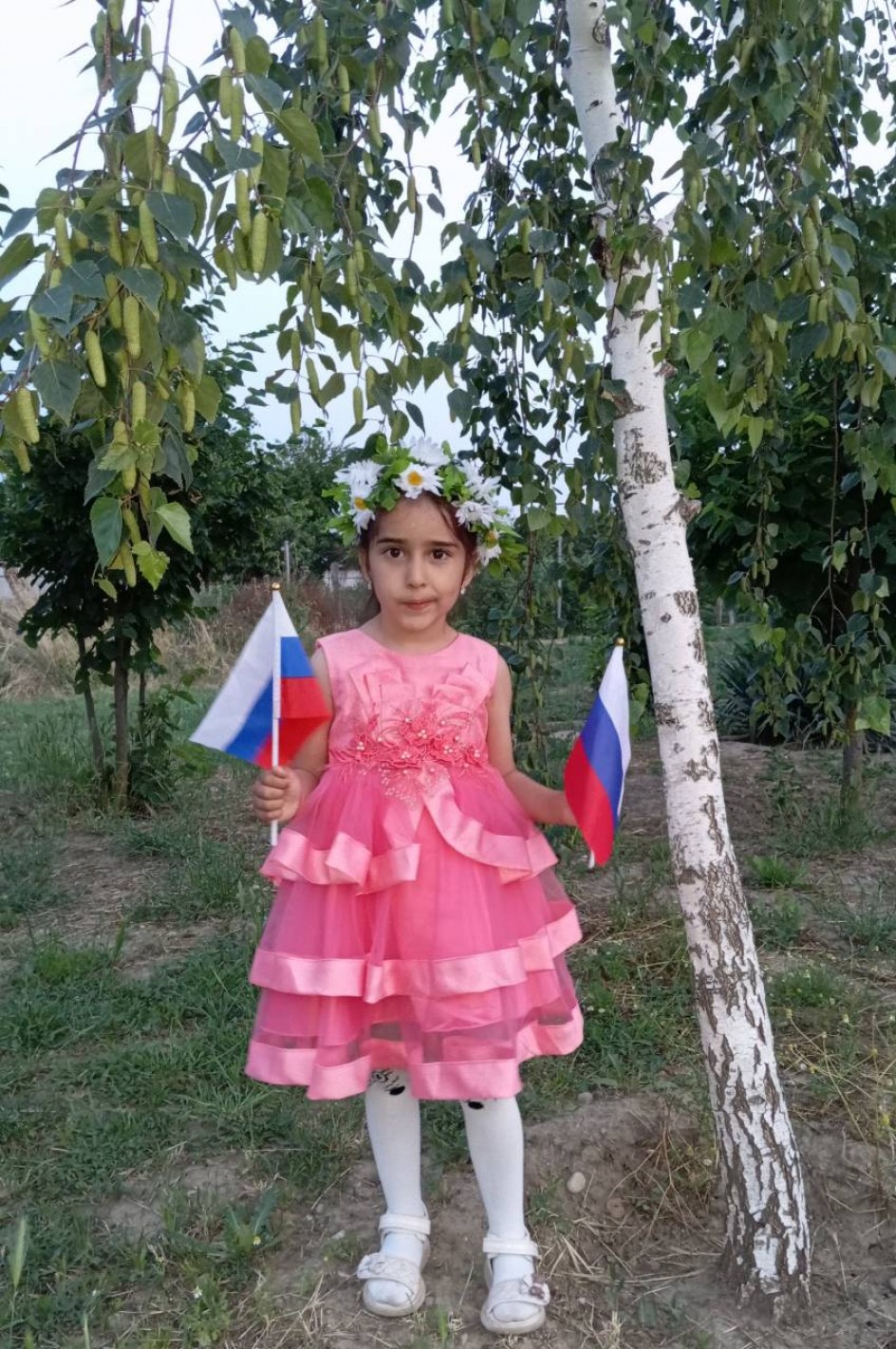 Люблю Россию, люблю березы.