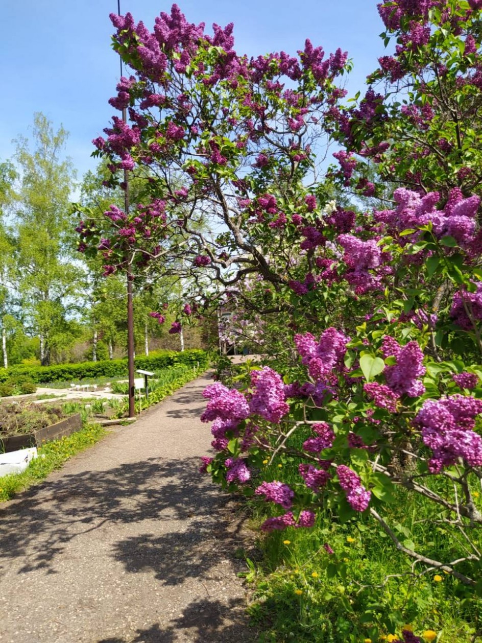 Природа моего края