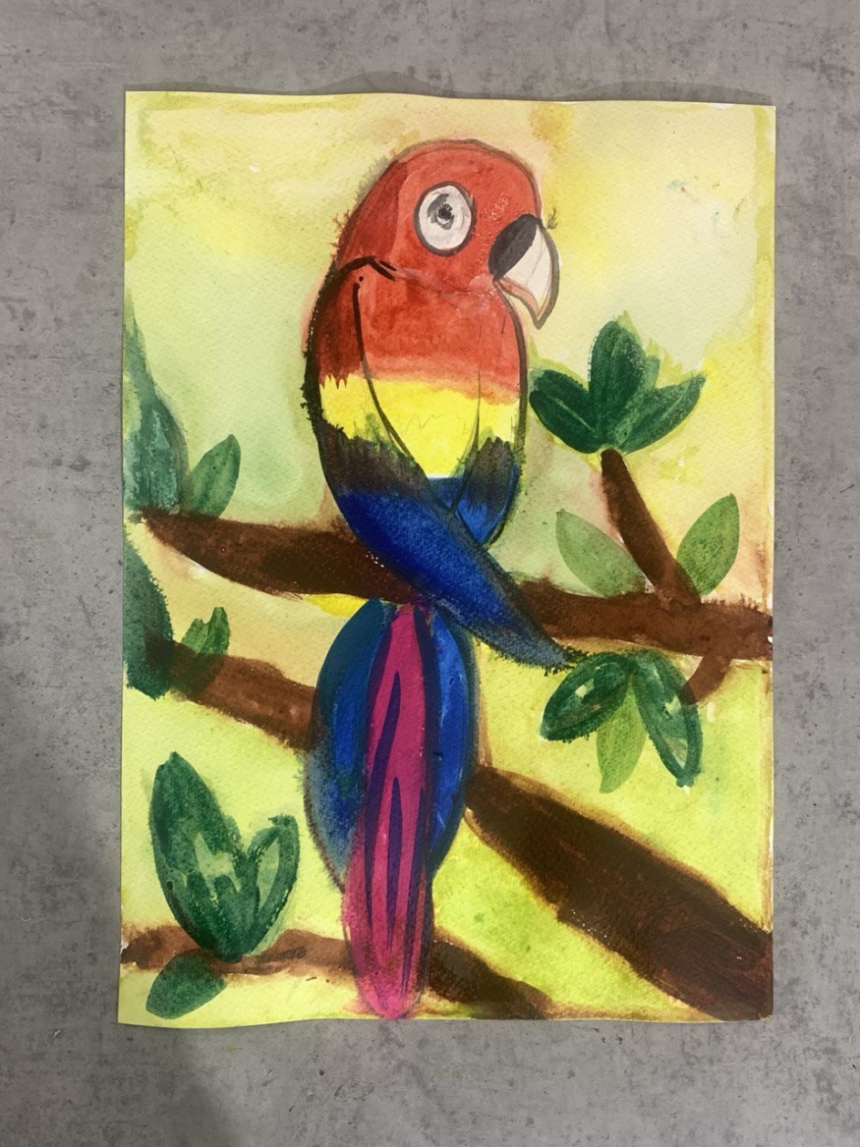 Попугай под солнцем