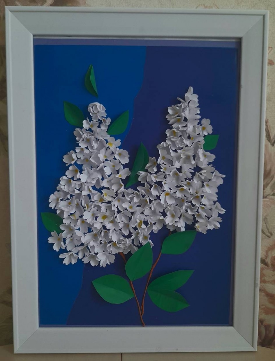 Сирень