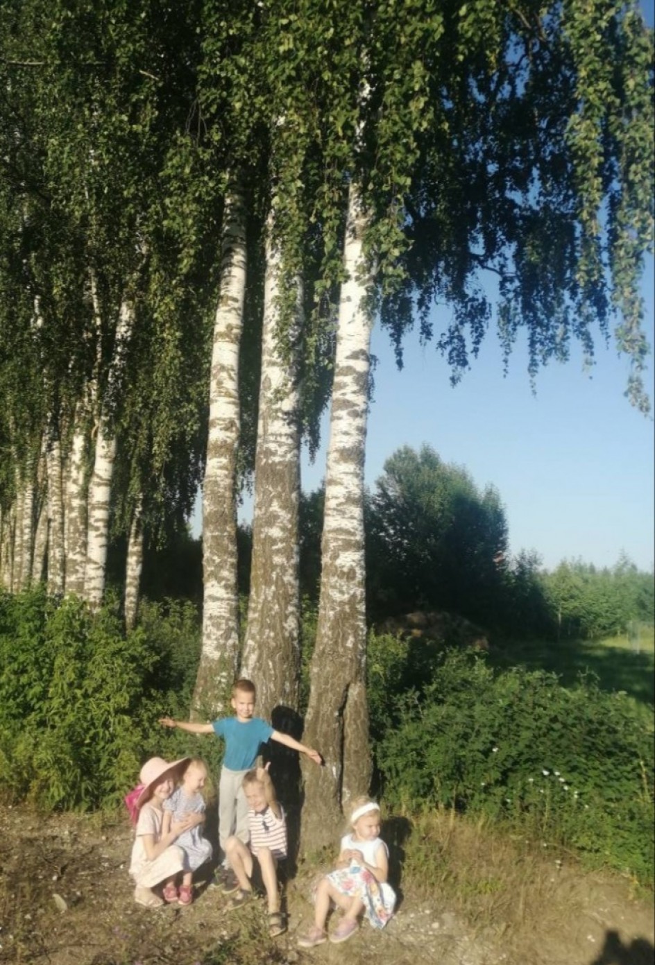 Мы и березки .