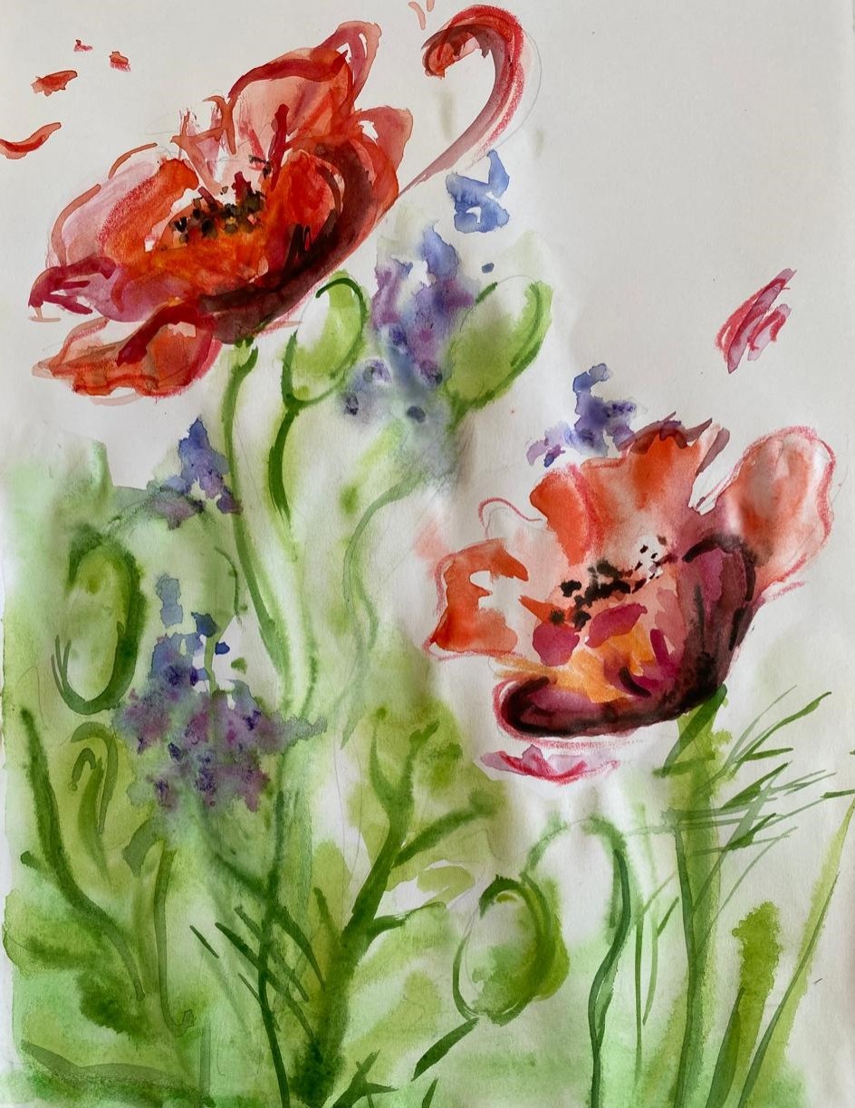 "Цветное лето"