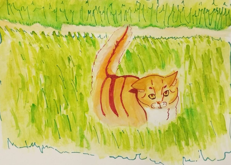 Кошачья прогулка