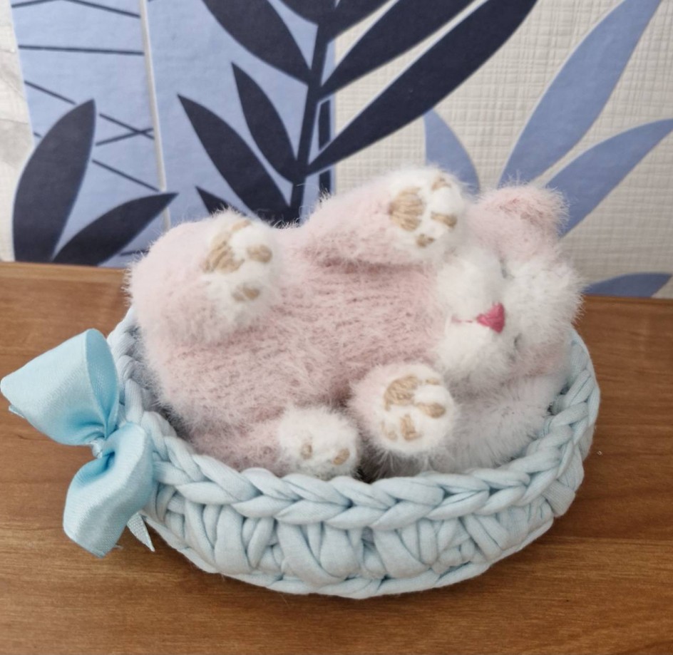 Спящий котенок.