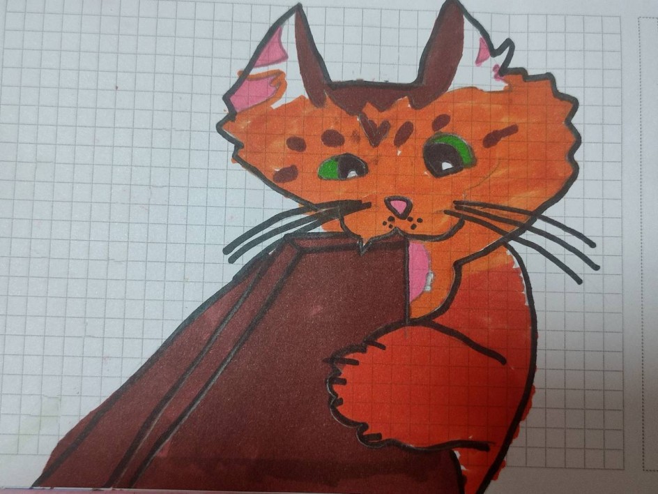 игривый котик