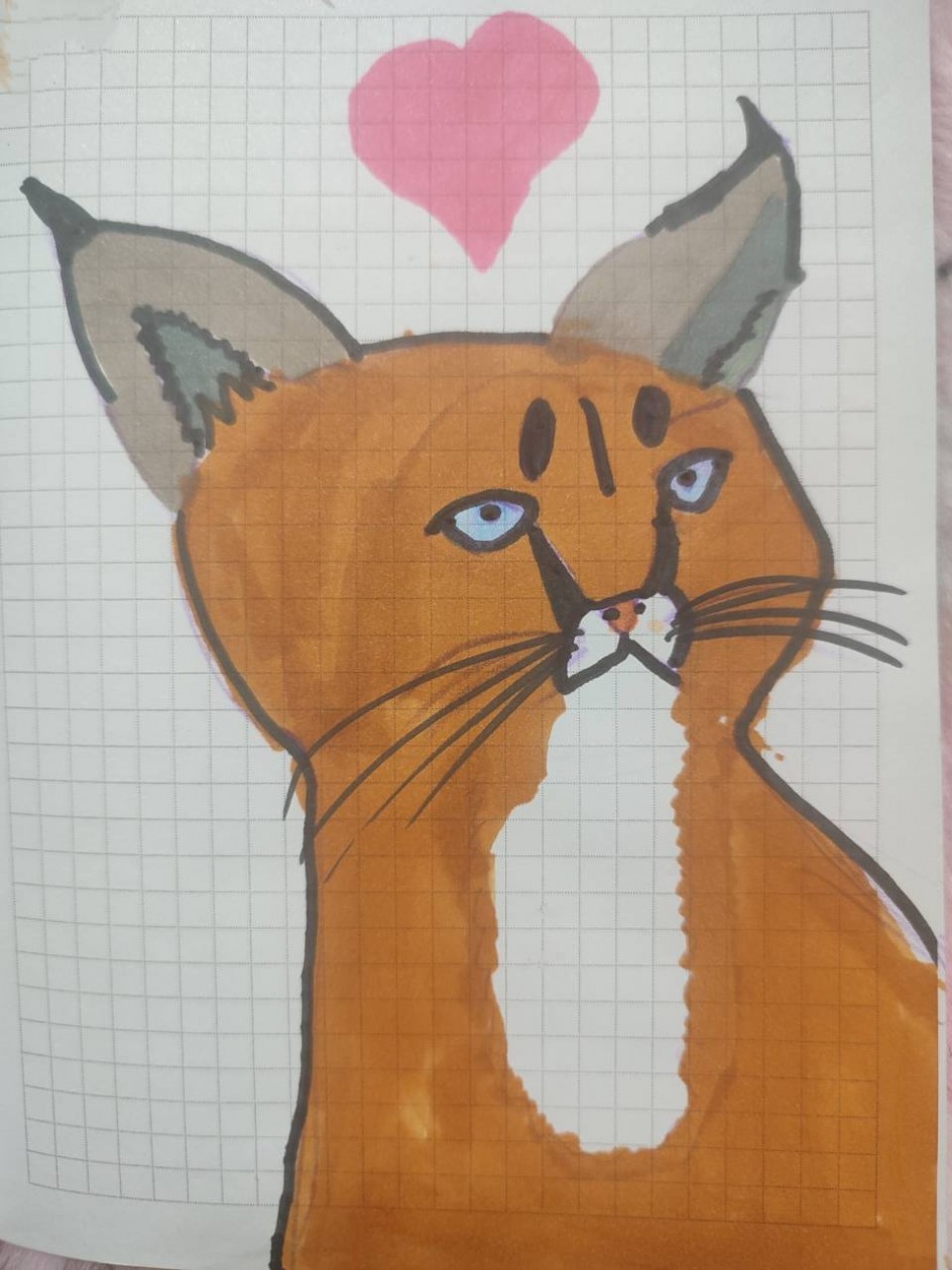кошачий мир