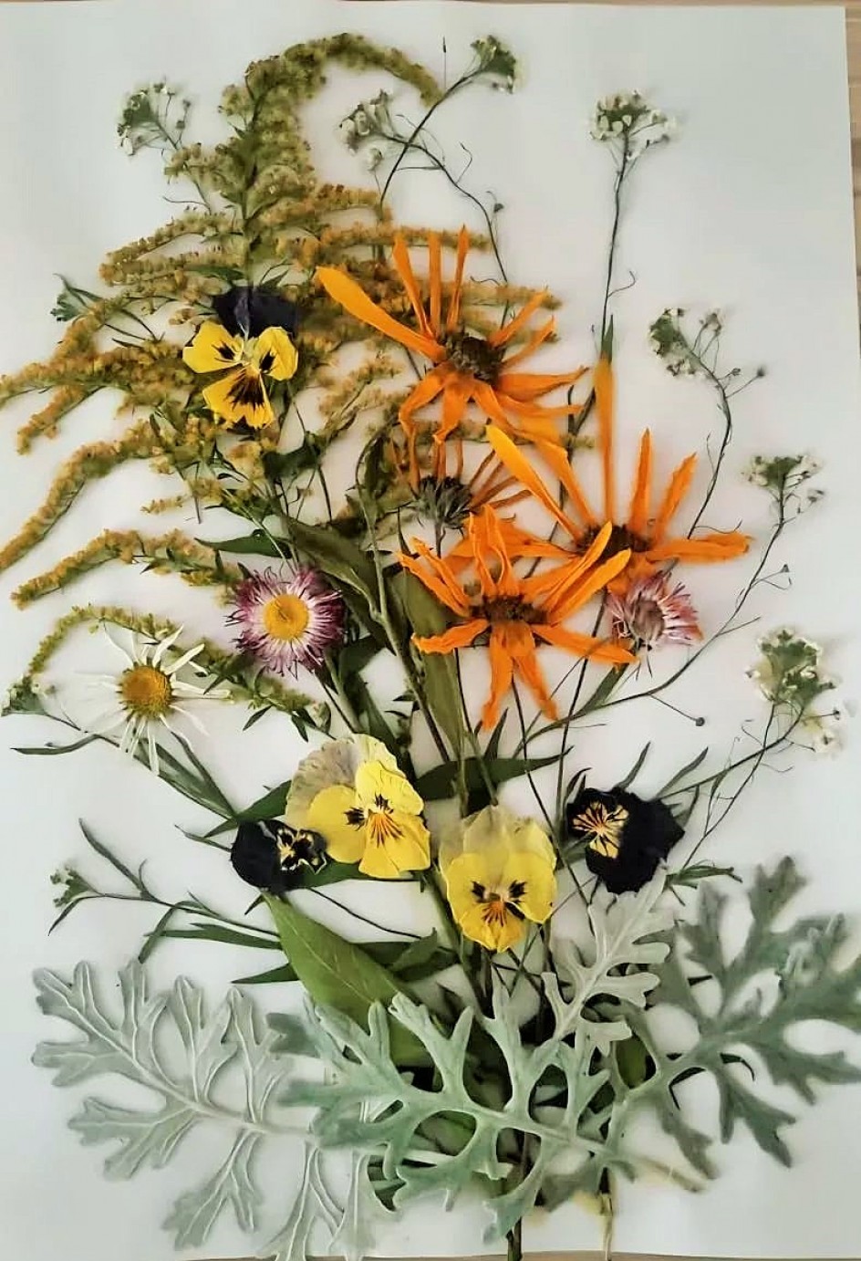 Поделка из сухих цветов "Воспоминания о лете..."